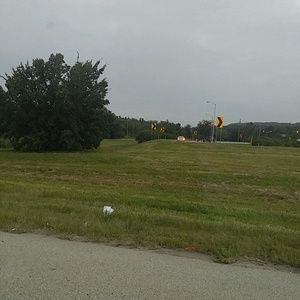 Meet your Posher, Yadira